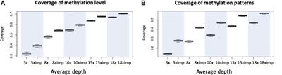 BSImp: Imputing Partially Observed Methylation Patterns for Evaluating Methylation Heterogeneity